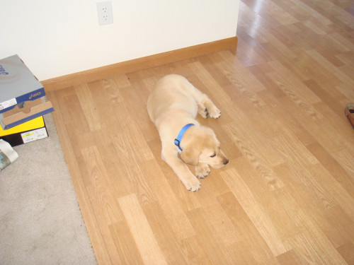 DSC00041.jpg