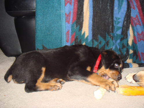DSC00192.jpg