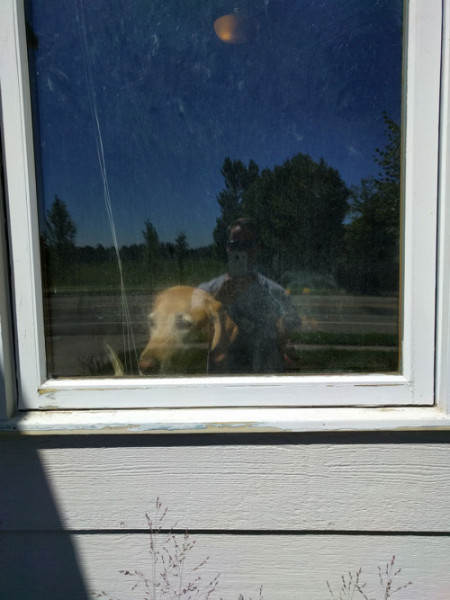 window1.jpg