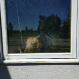 window1